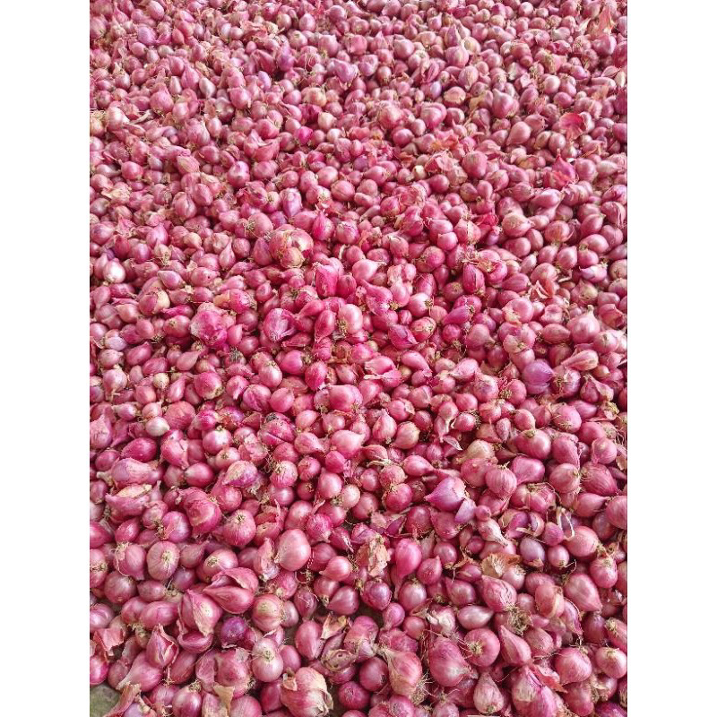 bawang merah murah 1kg berkualitas|bawang merah/bumbu masak • omatoserba ( toko serba ada )