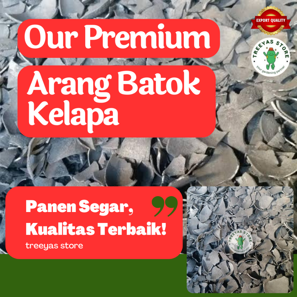 Treeyas Arang Batok Kelapa Kualitas Ekspor