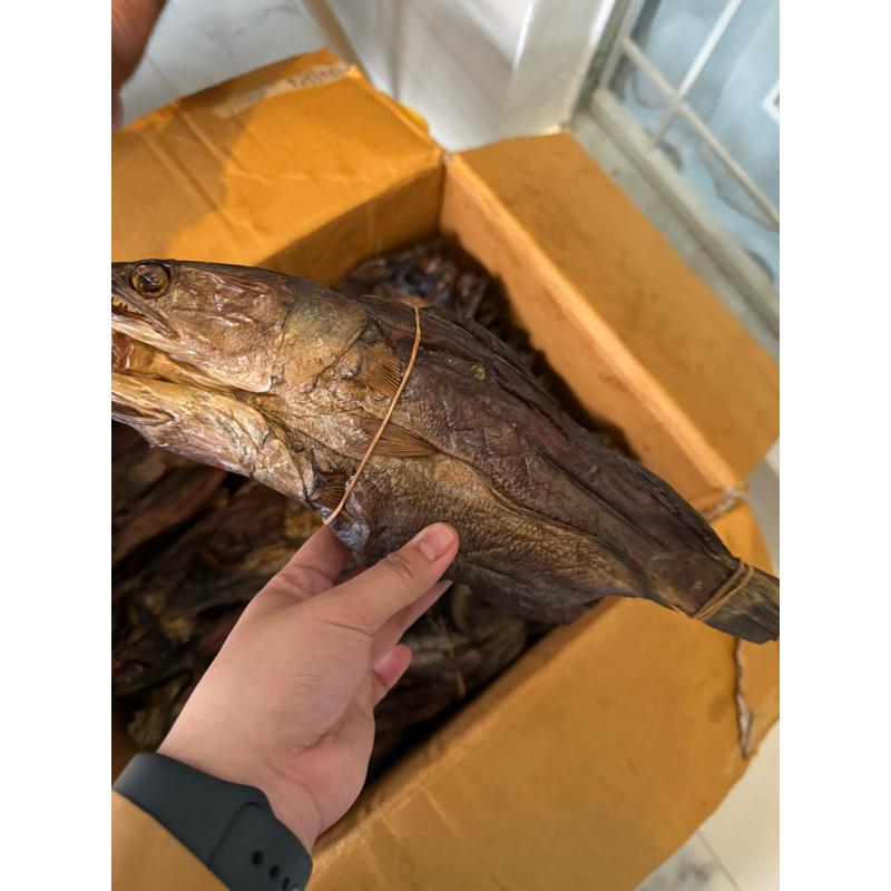 

ikan salai gabus (ikan sungai)