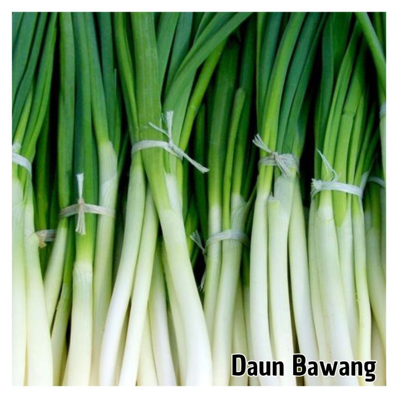 

Daun bawang segar