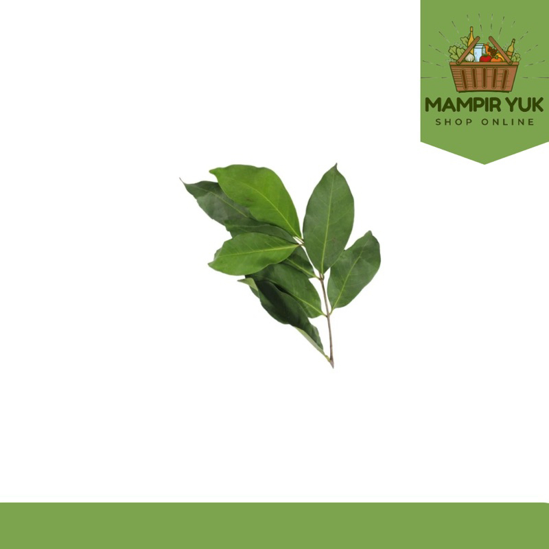 

Daun salam/ikat | mampiryuk