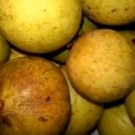 

buah pala tanpa di kupas / utuh 1kg