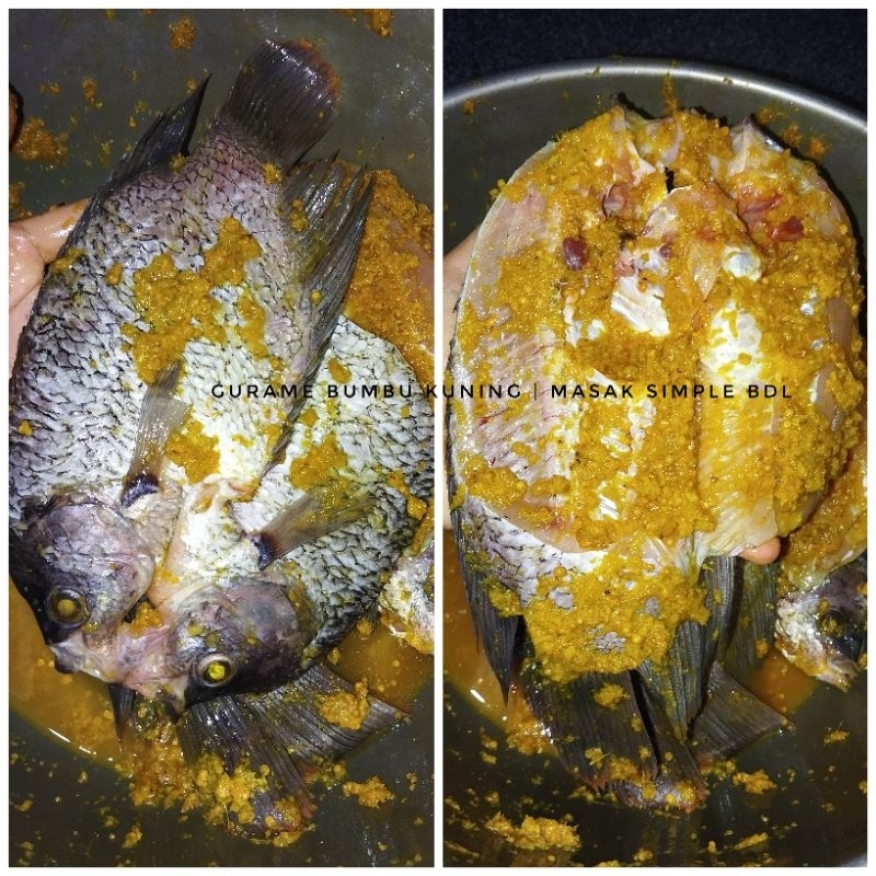

IKAN GURAME UNGKEP GURAME BELAH PUNGGUNG 350GR