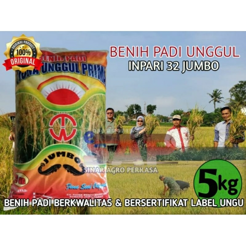 BENIH PADI UNGGUL PRIMA INPARI 32 JUMBO | BERSERTIFIKAT LABEL UNGU 5 kg