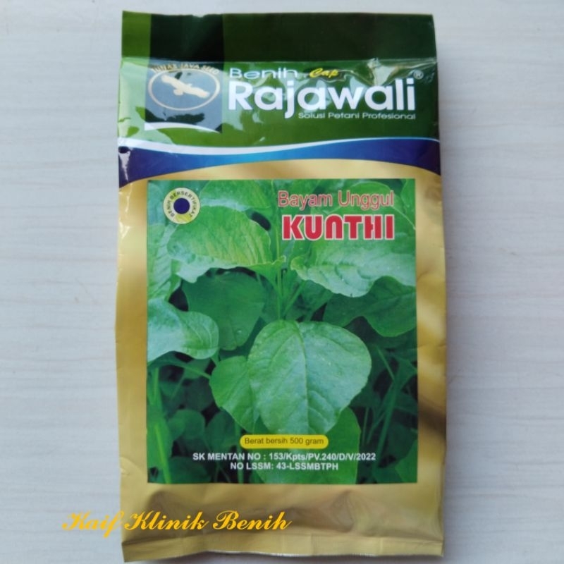 Benih Unggul Bayam Kunthi 500 Gram - Bibit Bayam Hijau Cap Rajawali