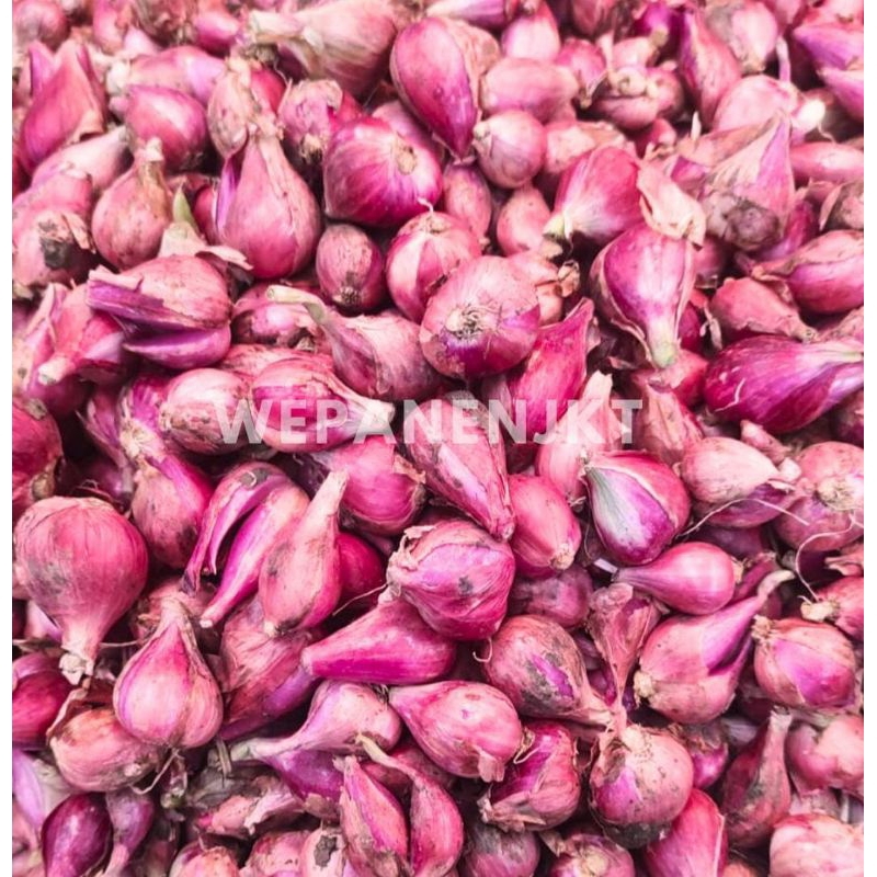 

Bawang Merah Brebes Campur 1Kg