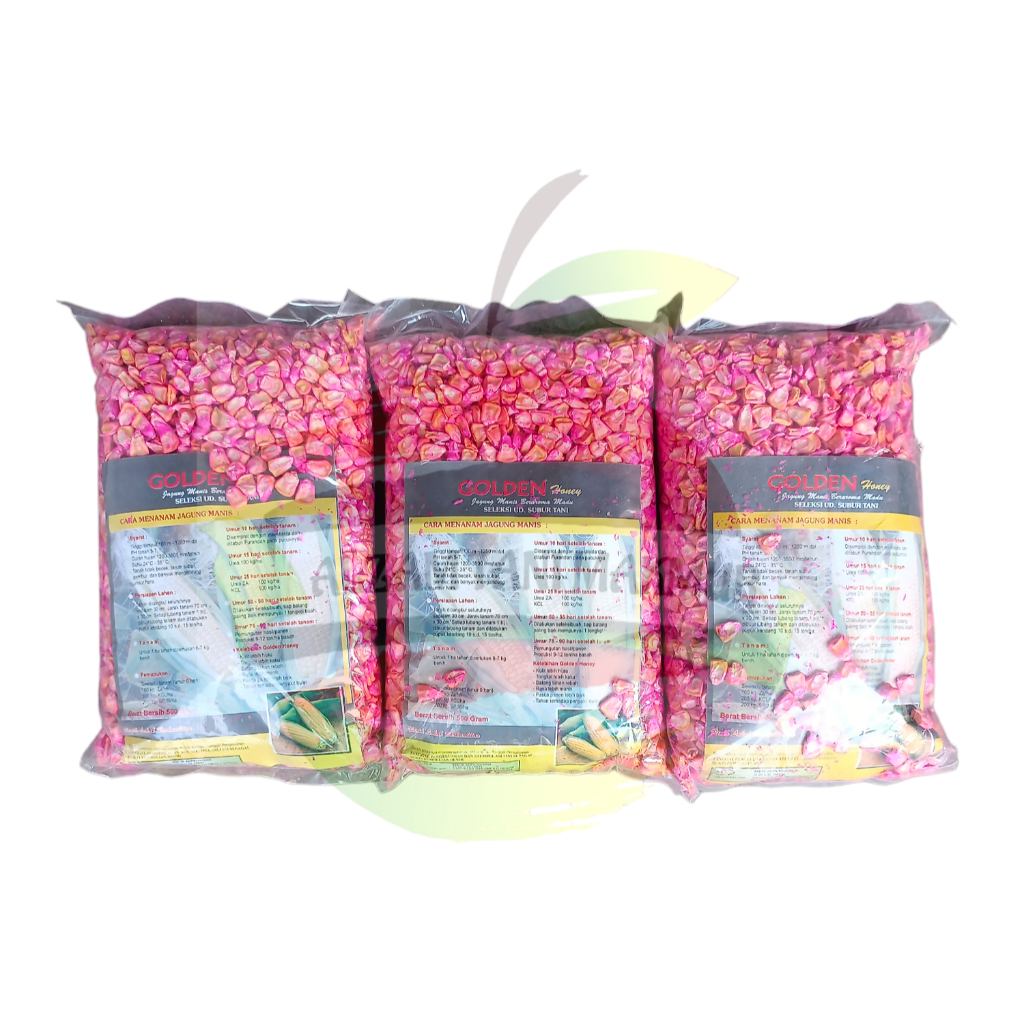 Benih Jagung Manis GOLDEN isi 500 Gram