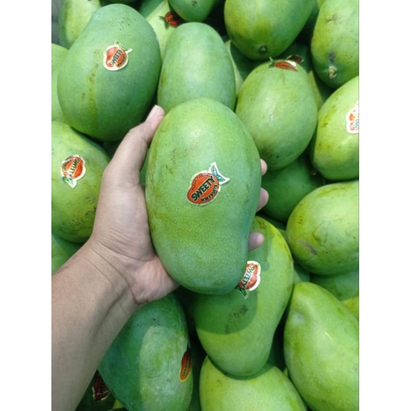 

BUAH MANGGA MASAK POHON BANGIL SWEETY 1 KG