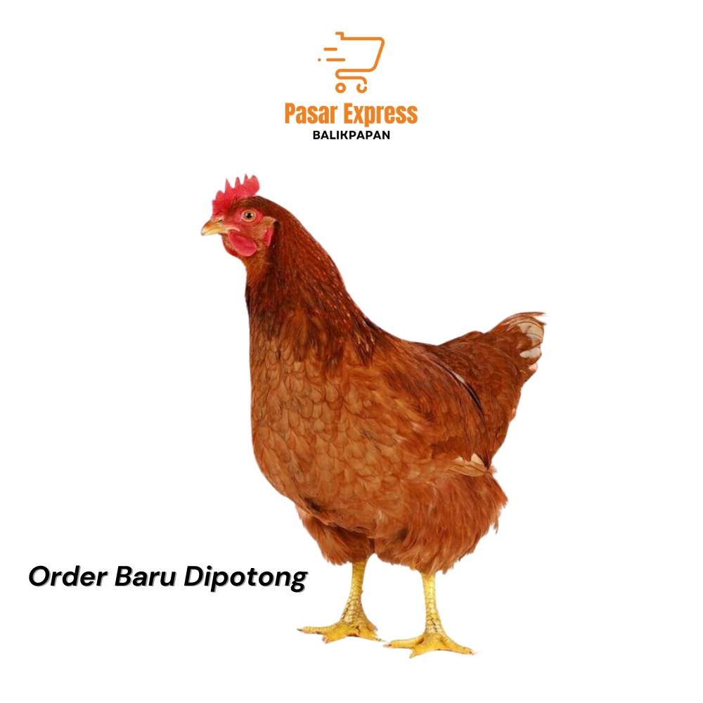 

[Lagi Murah] Daging Ayam Merah / Ayam Petelur (-+2kg) Order Baru di Potong - Pasar Express Balikpapan