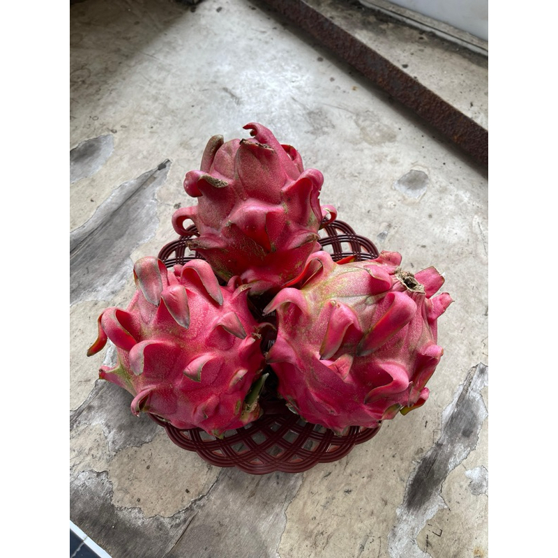 

HAPPYFRESHFRUITS Naga Merah Manis - 1 kg