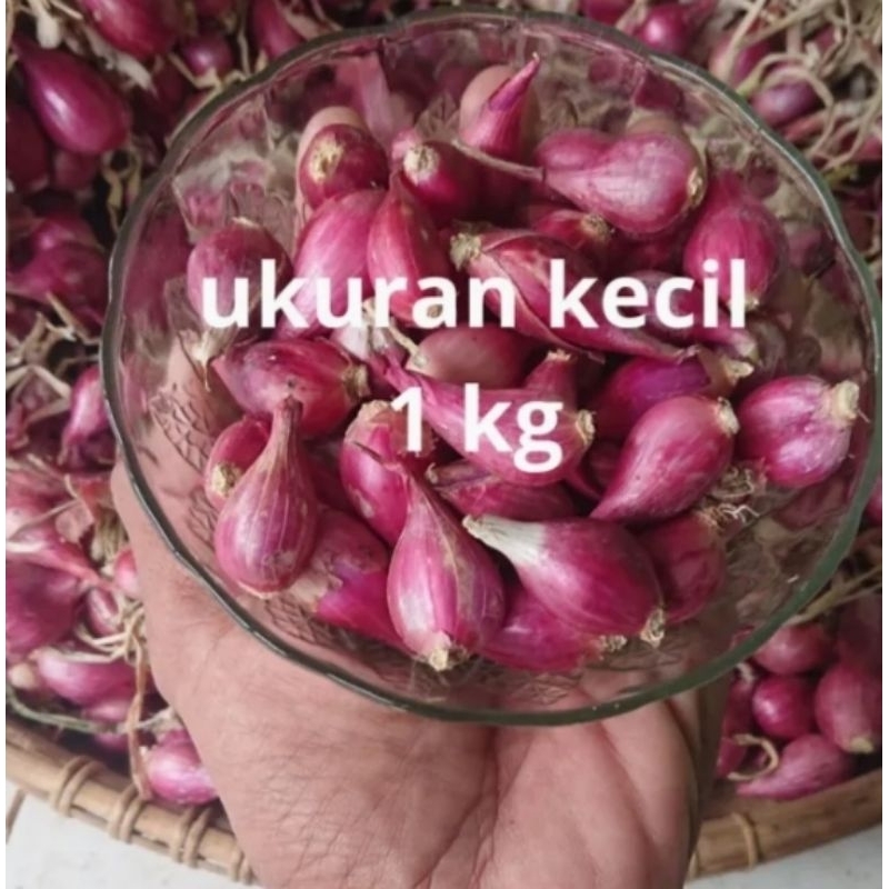 

1kg bawang brebes kecil