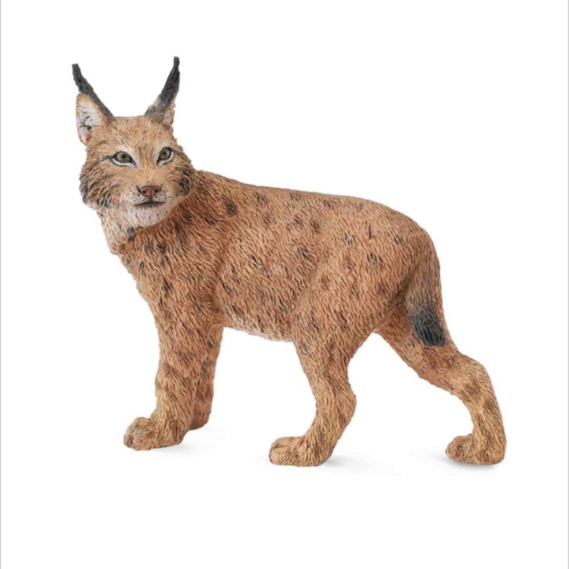 Lynx Kucing 88565 Kutub Mainan Animal Figure Binatang Miniature Edukasi Anak Hewan Figurine Pajangan