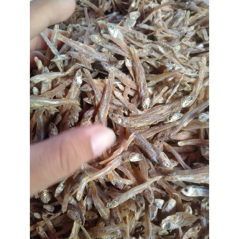 

TERI TAWAR ASLI BELITUNG