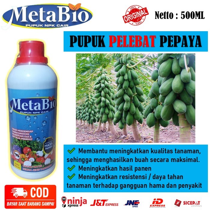 pupuk pelebat buah pepaya organik ampuh - pupuk NPK cair MetaBio pelebat buah pepaya california