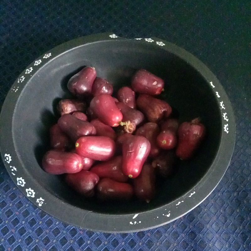 

BUAH JAMBU DARSONO