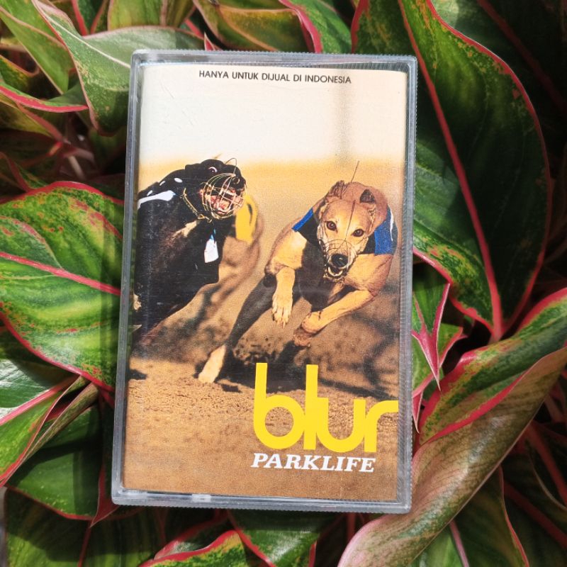 KASET PITA (BLUR PARKLIFE)