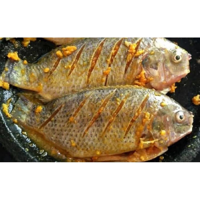 

Kirim Instant Ikan Nila Ungkep Bumbu Kuning Isi 2 Praktis Tinggal Goreng Fresh