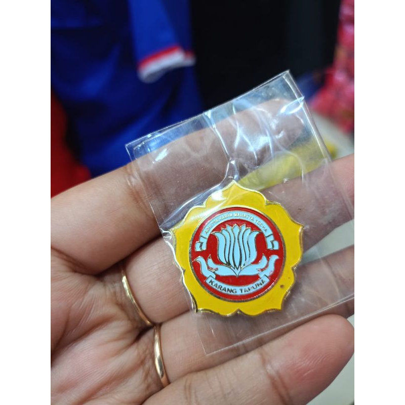 pin karang taruna