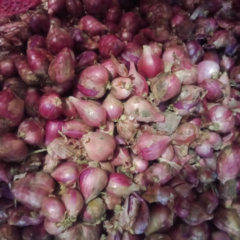 

BAWANG MERAH TEMANGGUNG 1 KG