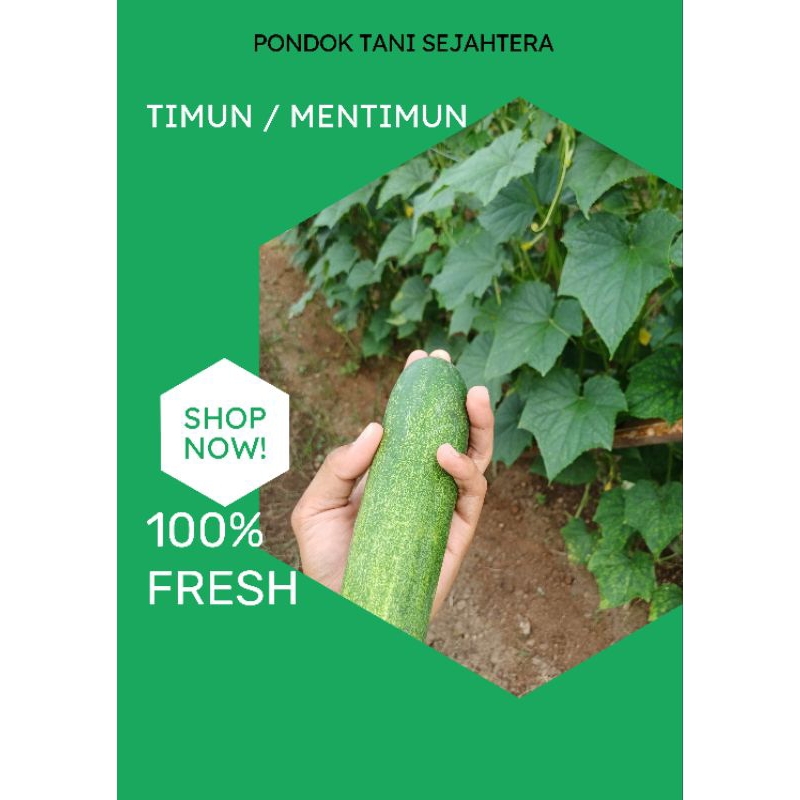 

PROMO Timun / Mentimun FRESH