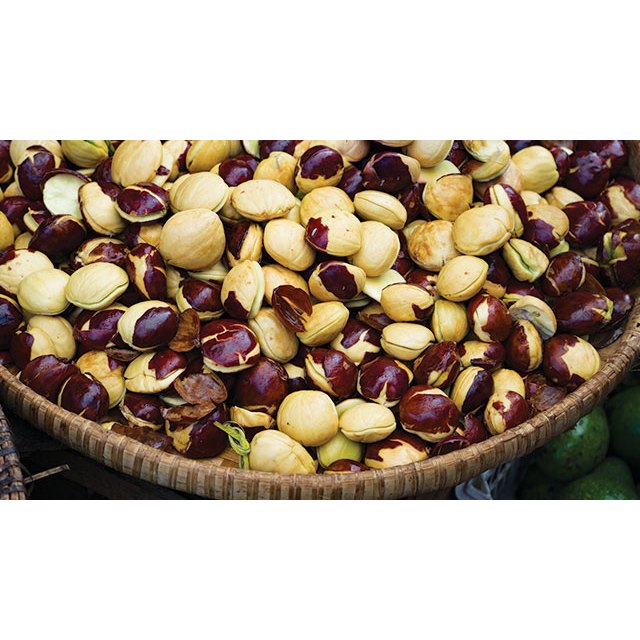 

Jengkol Tua Mentah Fresh Berat 500gr