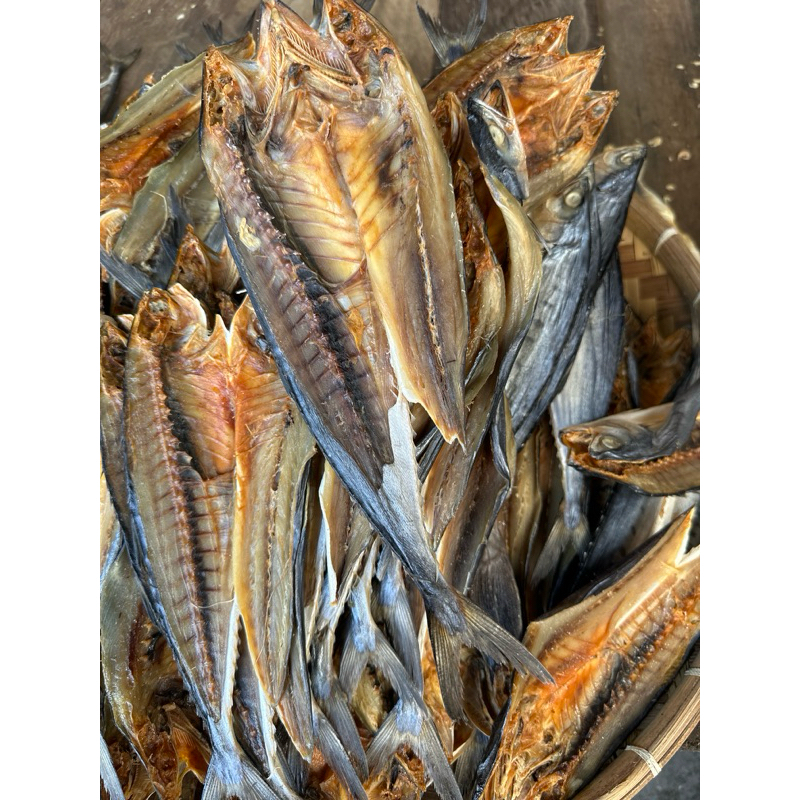 

ikan salam atau talang