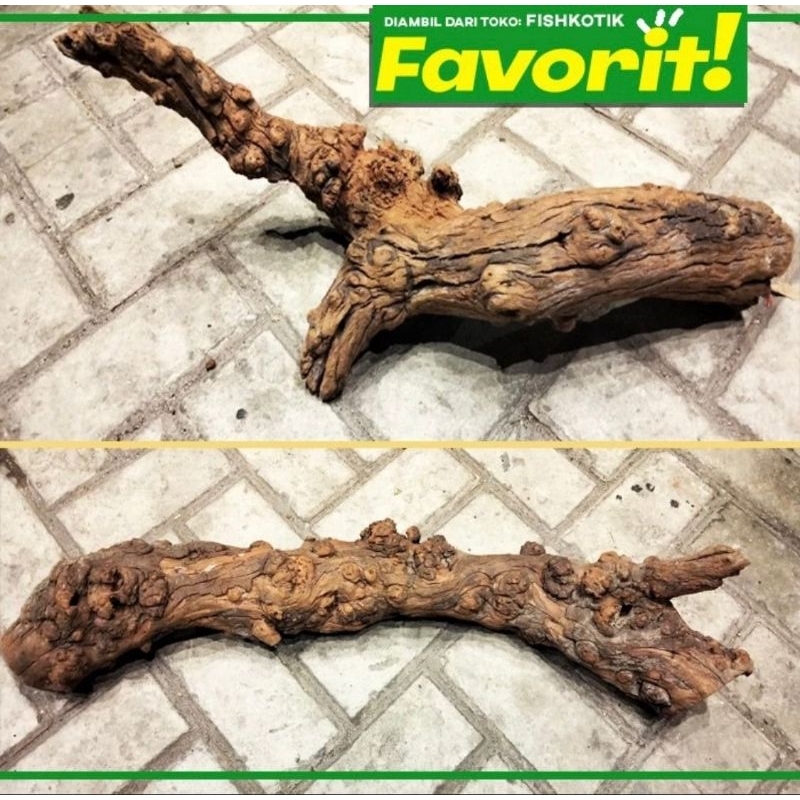 Kayu Santigi Planet XL Hiasan Aquarium Aquascape Ikan Hias Tanaman Air