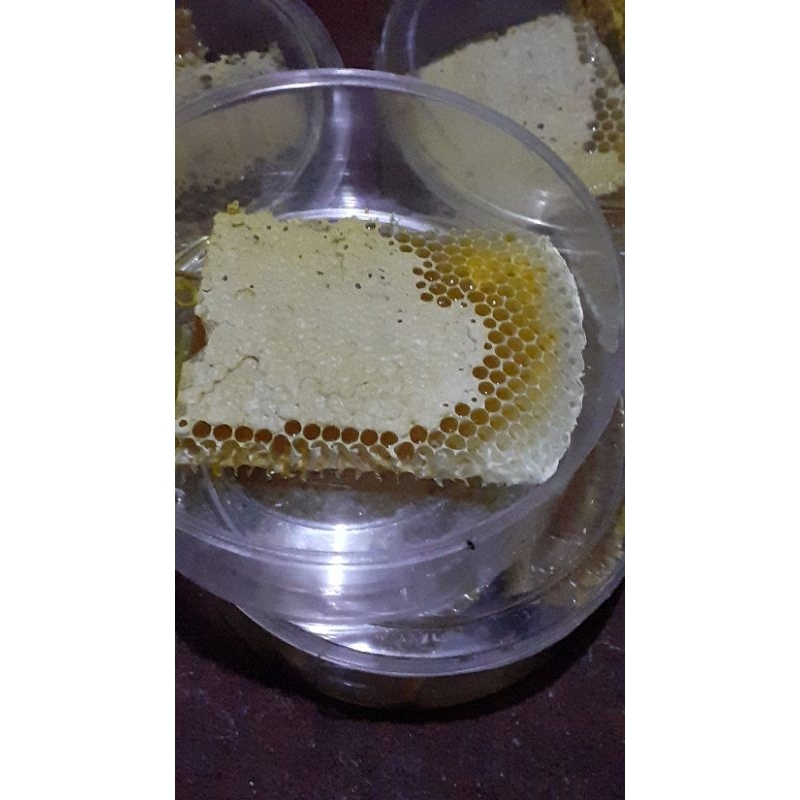 

APISCERANA#madu sarang asli nektar bunga 100%√√