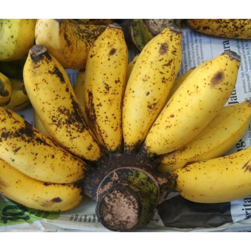 

Pisang Susu Fresh