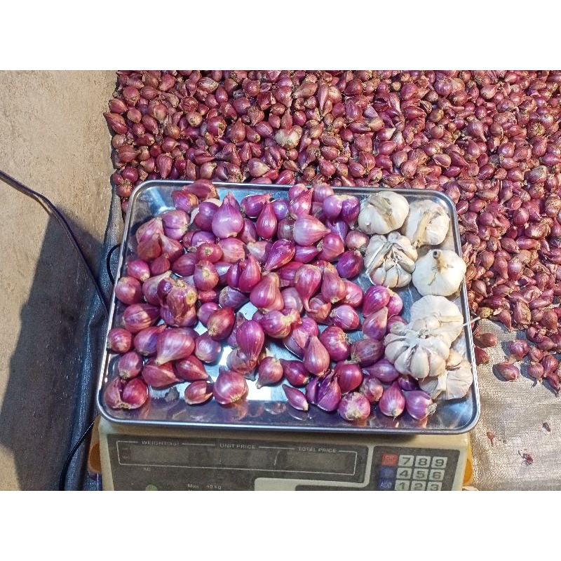 

Paket Mix Bawang Merah 500gr & Bawang Putih 500gr