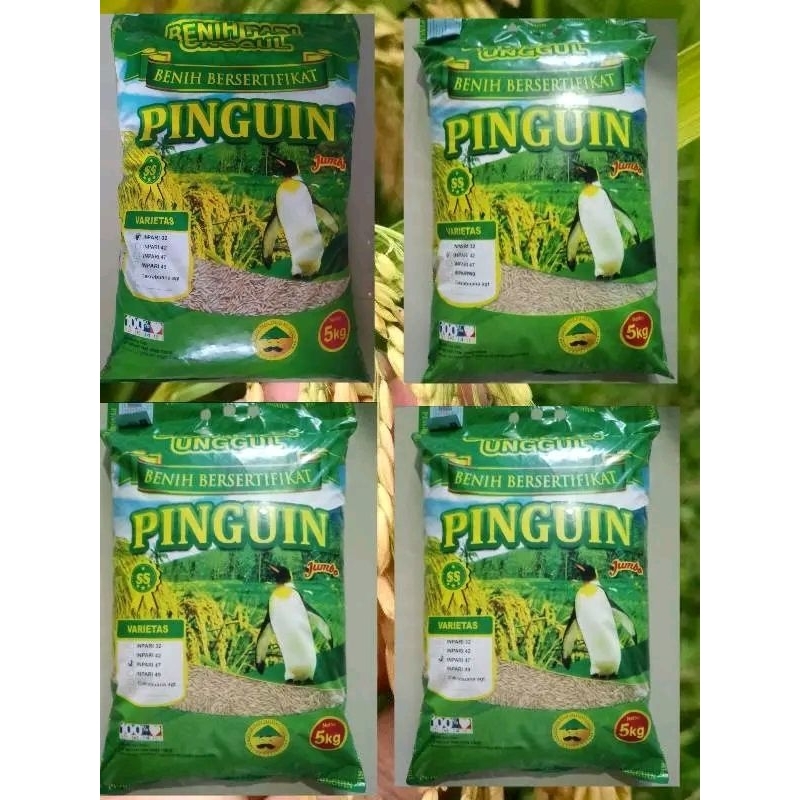 BIBIT PADI UNGGUL INPARI 32 42 47 49 JUMBO TERBARU KEMASAN 5KG