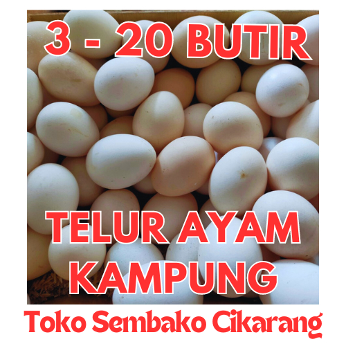 

TELUR AYAM KAMPUNG MENTAH PER BUTIR CAHAYA TELUR CIKARANG