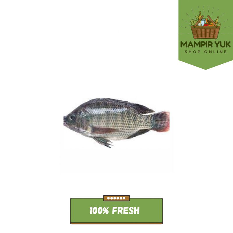 

Ikan nila 500gr-1kg | mampiryuk