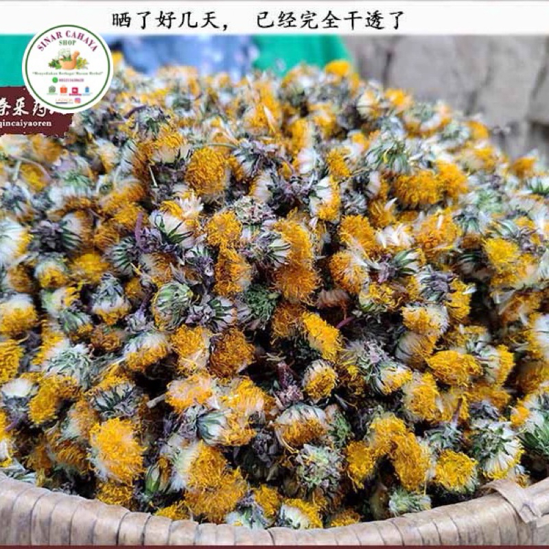 

teh Dandelion flower Wlid Yesheng Pugong Ying Hua 100 gram