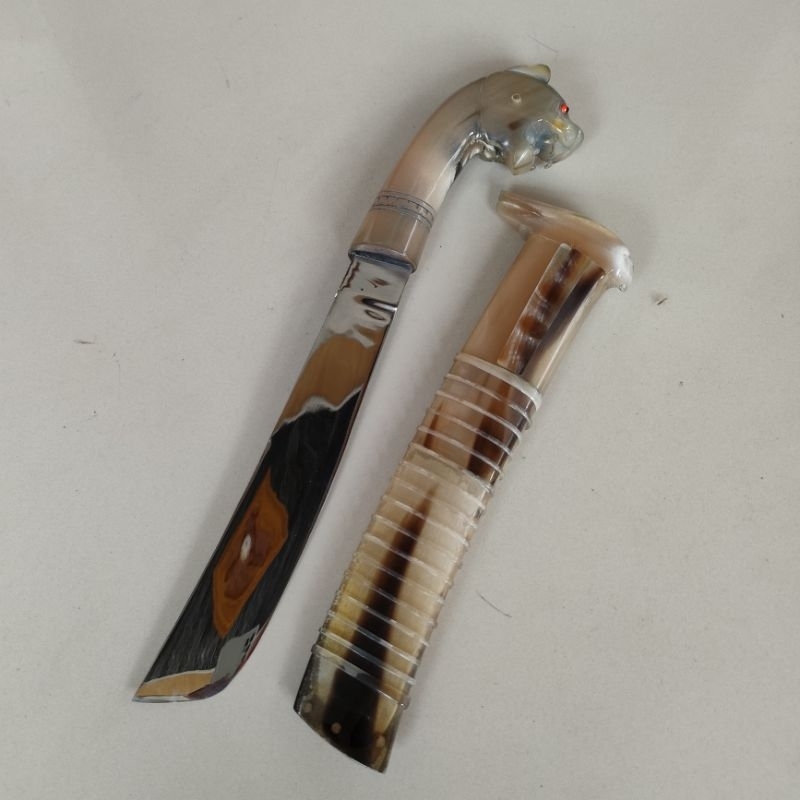 gocil unik full tanduk bule