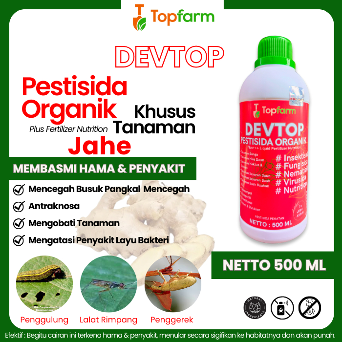 Obat Busuk Rimpang Jahe / Obat Untuk Tanaman Jahe / Obat Jamur Pada Tanaman Jahe / Obat Jamur Tanama