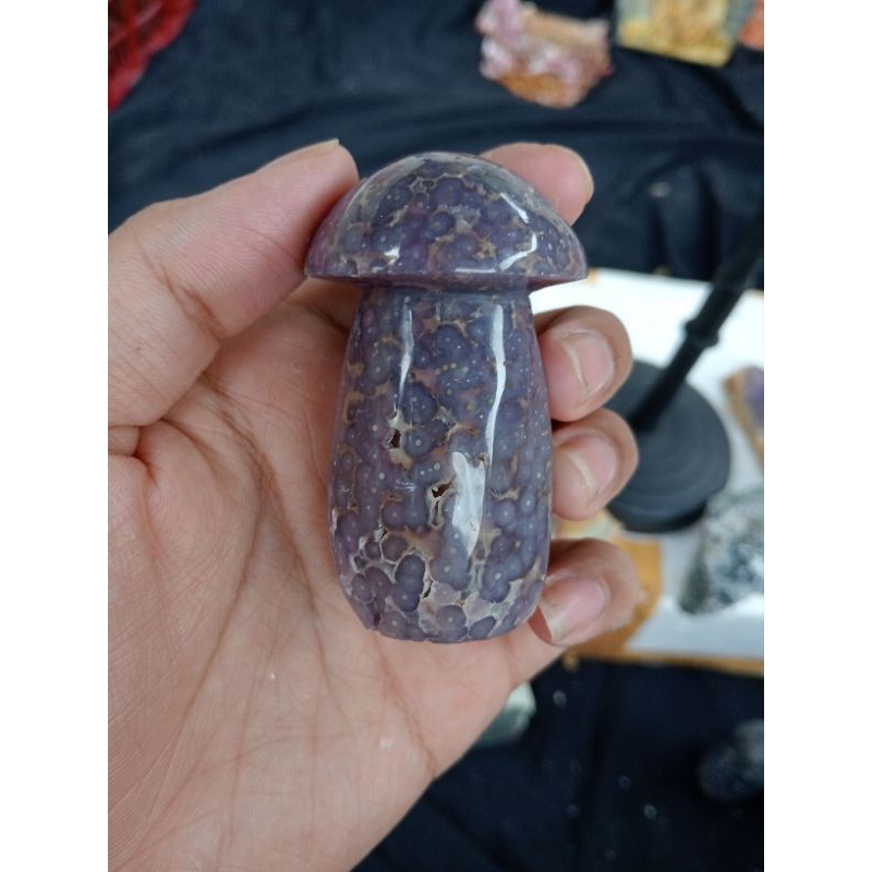 

jamur anggur