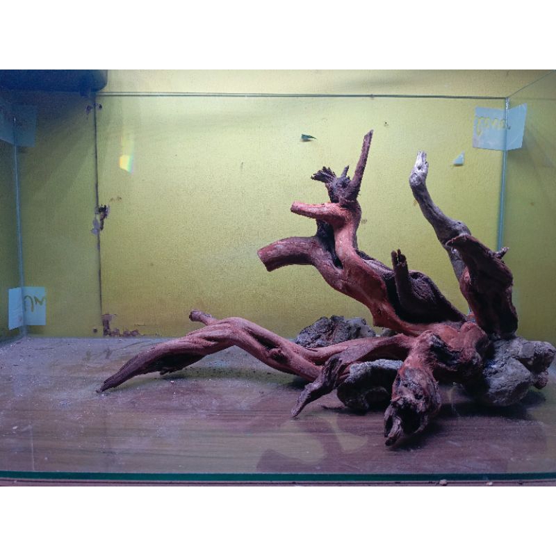 hardscape natural for tank 40-50cm