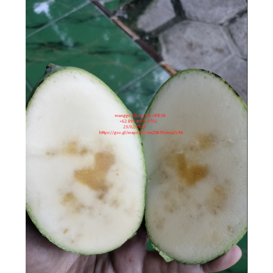 

Mangga manalagi/ madu 1kg isi 3,4,5,6 bisa reques kondisi muda