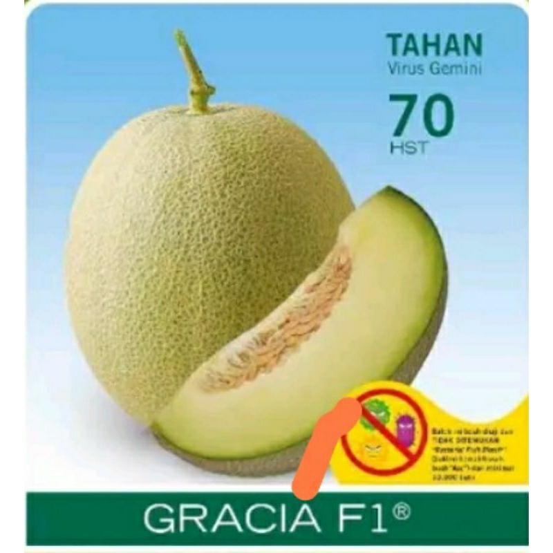 4 BIJI BENIH MELON GRACIA CAP PANAH MERAH