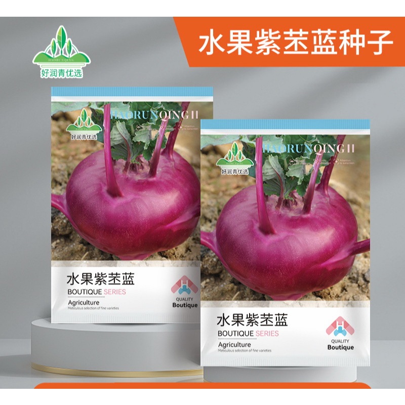 Benih Kohlrabi Ungu Super Lobak Jerman Lobak Kubis 600 biji F1 Import