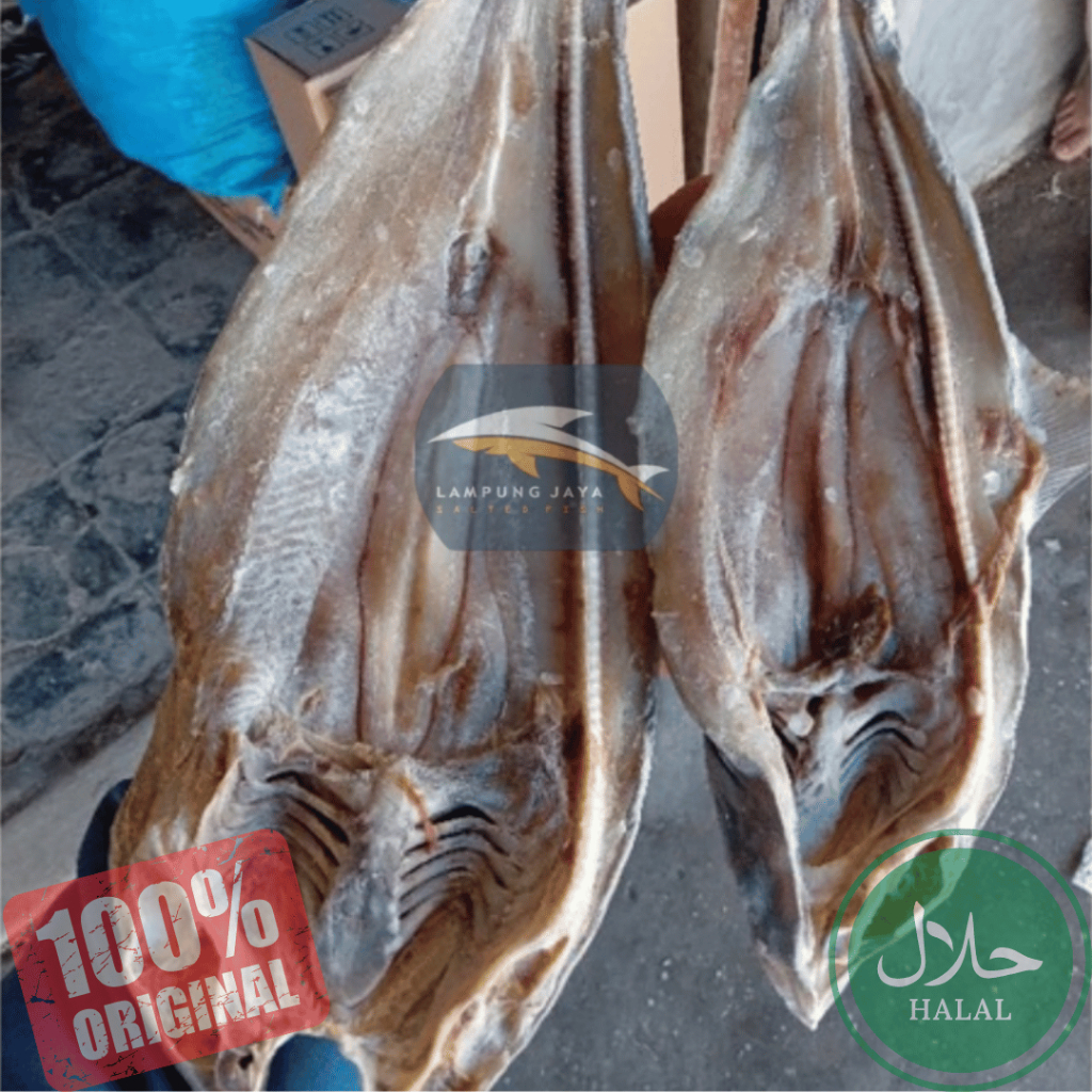 

{BISA COD} IKAN ASIN HIU BELAH / CUCUT BELAH 1KG BERKUALITAS - HARGA GUDANG MURAH, DISTRIBUTOR PERTAMA DARI PETANI
