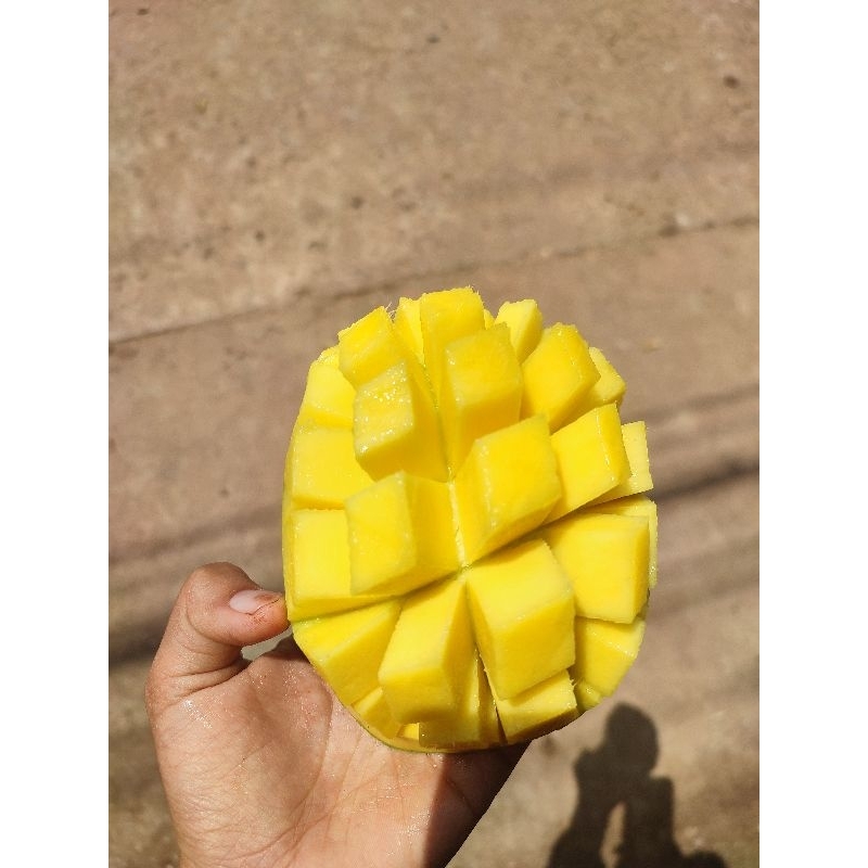 

Mangga Madu Golek 500gr 1kg Promo Buah Jambi | juraganbuahjambi
