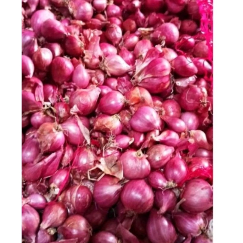 

bawang merah Brebes 1kg