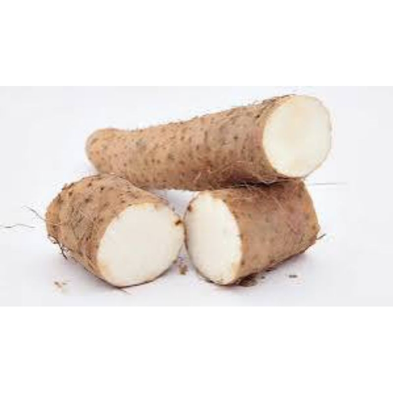 

singkong 500gram