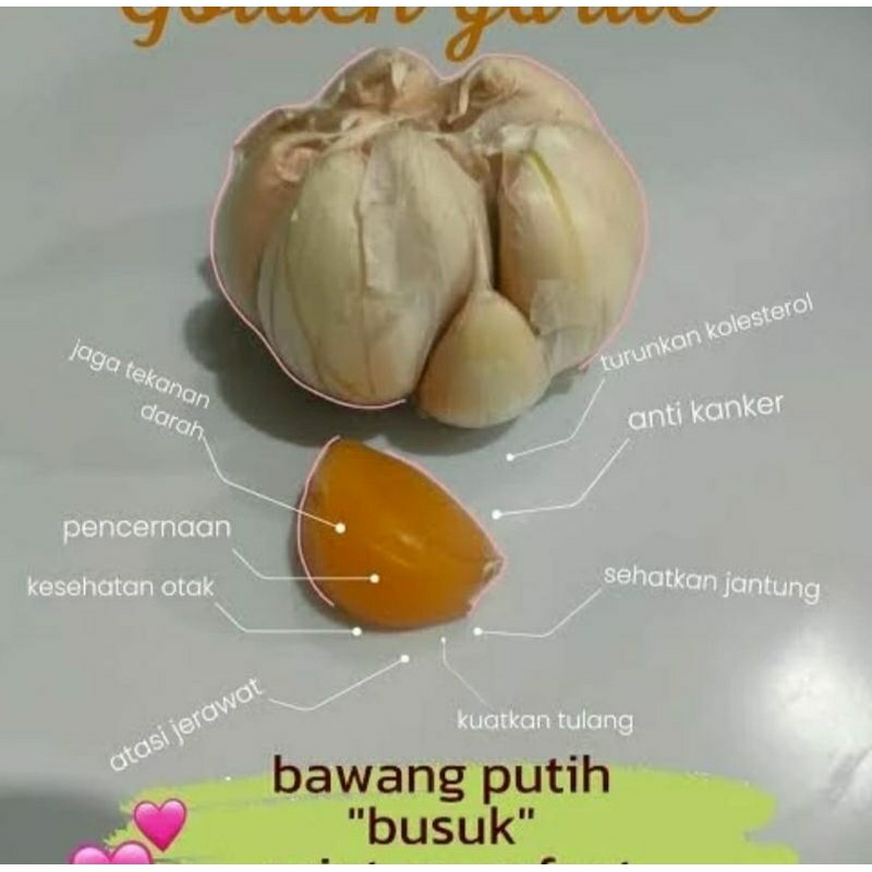 

100 gram Bawang Putih tua emas GOLDEN GARLIC, Langka, kaya manfaat Herbal