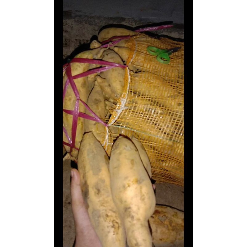 

Mantang madu