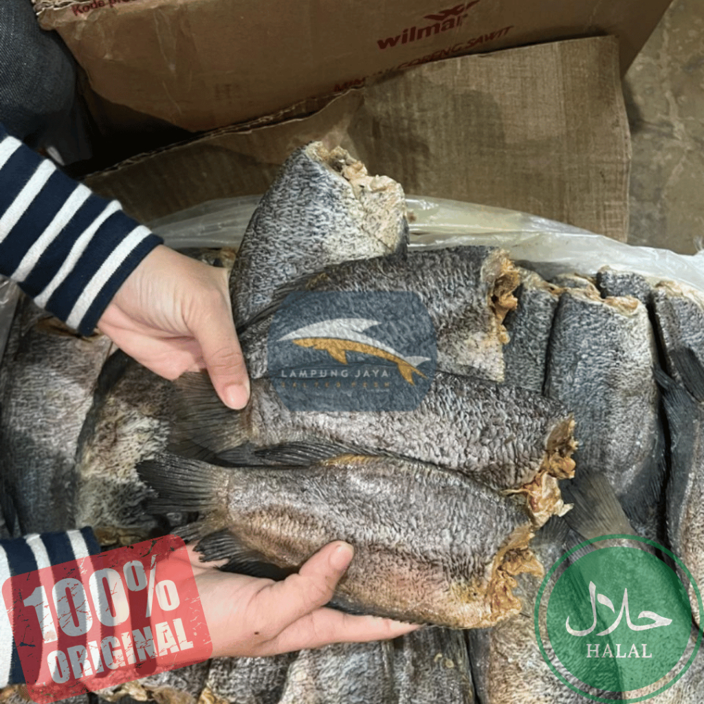 

{BISA COD} 250 GRAM IKAN ASIN SEPAT JUMBO THAILAND - HARGA GUDANG MURAH, DISTRIBUTOR PERTAMA DARI PETANI