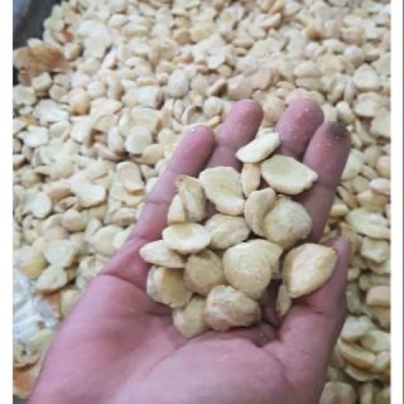 

kemiri pecah 1 kg