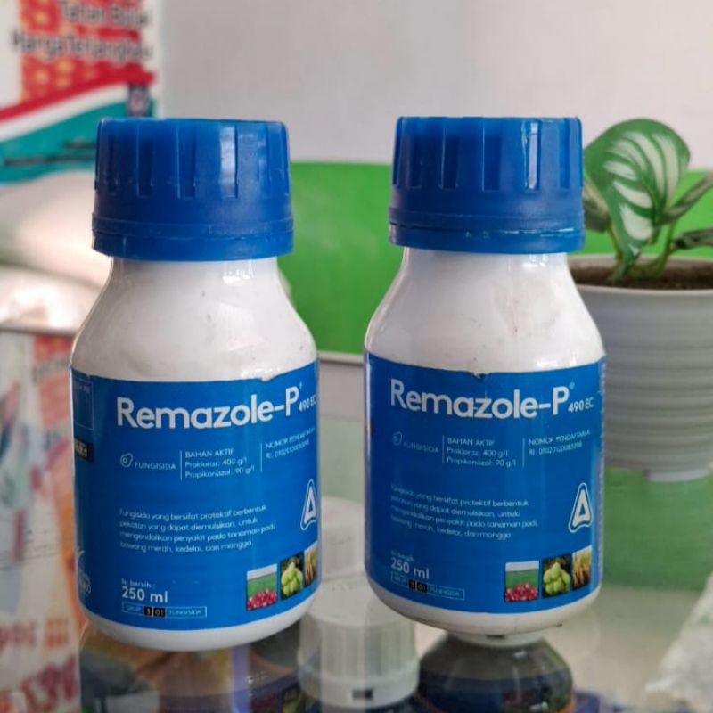 Fungisida remazole remasol obat sundep kresek padi